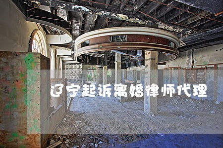 辽宁起诉离婚律师代理