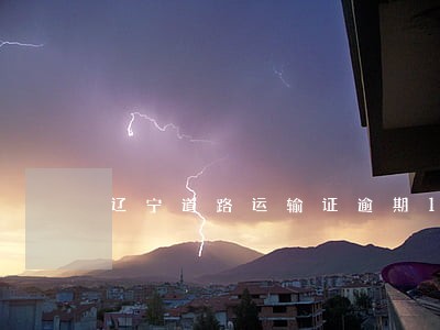 辽宁道路运输证逾期180天公告 辽宁道路运输证逾期180天公告