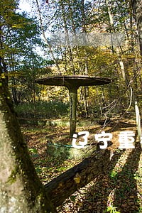 辽宁重拳打击涉电违法犯罪行为 辽宁重拳打击涉电违法犯罪行为