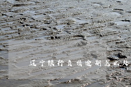 辽宁银行负债逾期怎么处理 辽宁银行负债逾期怎么处理