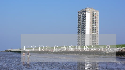 辽宁银行负债逾期还款方法