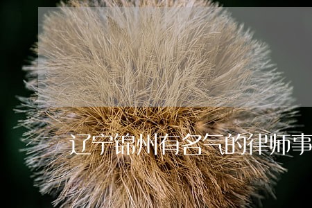 辽宁锦州有名气的律师事务所 辽宁锦州有名气的律师事务所