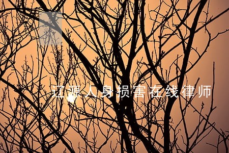 辽源人身损害在线律师 辽源人身损害在线律师