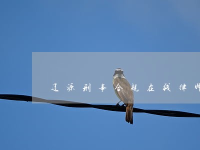 辽源刑事合规在线律师