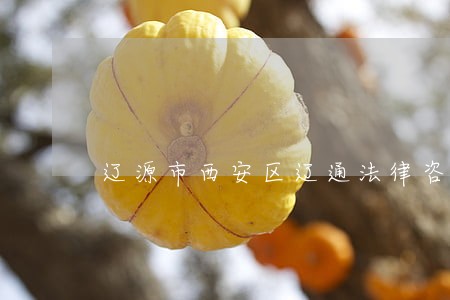 辽源市西安区辽通法律咨询服务部 辽源市西安区辽通法律咨询服务部