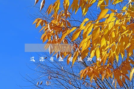 辽源有法律援助吗 辽源有法律援助吗