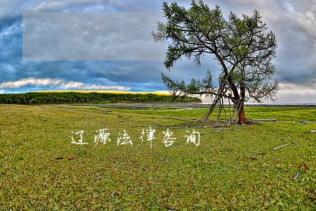 辽源法律咨询 辽源法律咨询