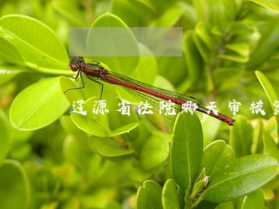 辽源省法院哪天审核资料 辽源省法院哪天审核资料