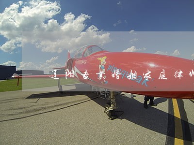 辽阳专业婚姻家庭律师 辽阳专业婚姻家庭律师