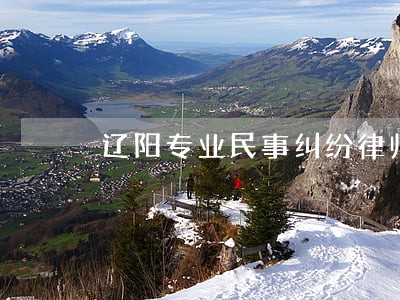 辽阳专业民事纠纷律师