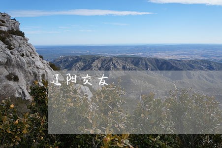 辽阳交友