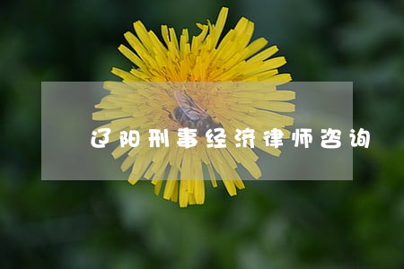 辽阳刑事经济律师咨询 辽阳刑事经济律师咨询