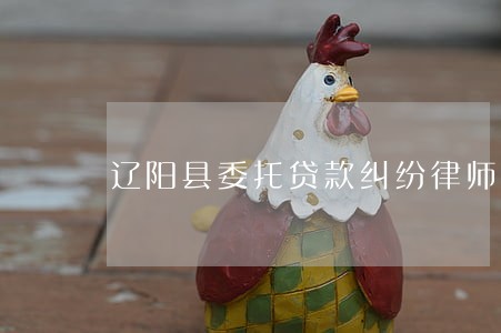 辽阳县委托贷款纠纷律师 辽阳县委托贷款纠纷律师