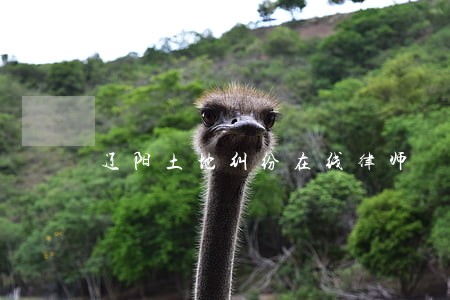 辽阳土地纠纷在线律师 辽阳土地纠纷在线律师