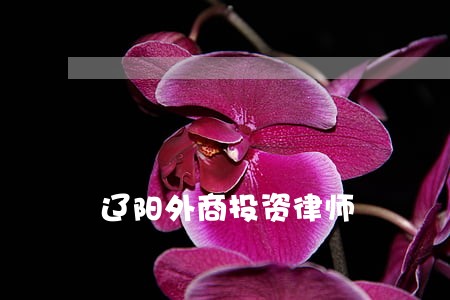 辽阳外商投资律师 辽阳外商投资律师
