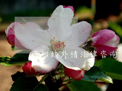 辽阳婚外情法律咨询
