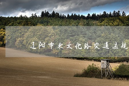 辽阳市东文化路交通法规