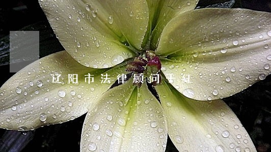 辽阳市法律顾问于红