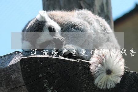 辽阳房产变更律师在线咨询