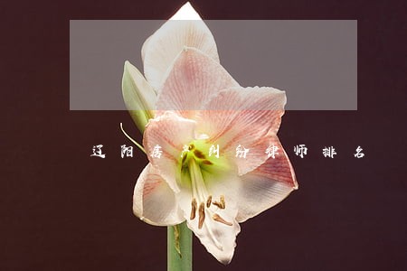 辽阳房产纠纷律师排名 辽阳房产纠纷律师排名