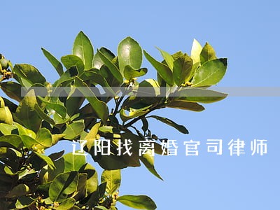 辽阳找离婚官司律师