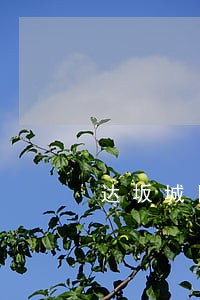 达坂城区诉讼离婚律师 达坂城区诉讼离婚律师