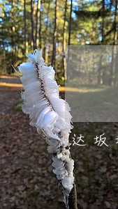 达坂城区酒驾申诉律师费用 达坂城区酒驾申诉律师费用