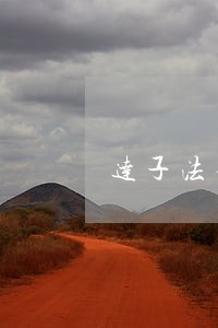 达子法律咨询直播间 达子法律咨询直播间