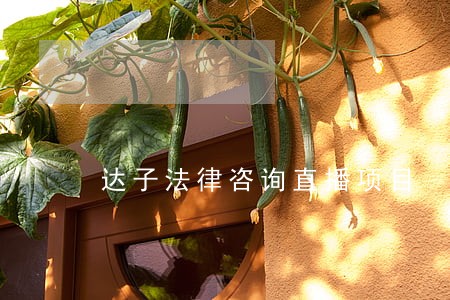 达子法律咨询直播项目 达子法律咨询直播项目