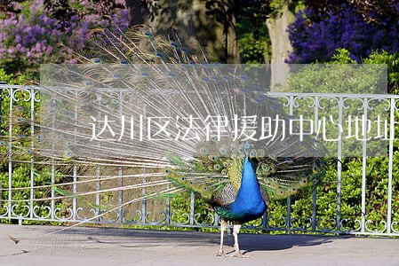 达川区法律援助中心地址