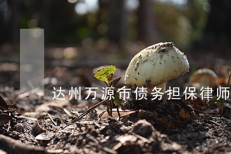 达州万源市债务担保律师哪里找 达州万源市债务担保律师哪里找
