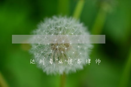 达州专业债务律师 达州专业债务律师