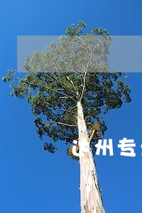 达州专业债务律师咨询 达州专业债务律师咨询