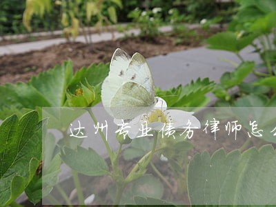 达州专业债务律师怎么收费 达州专业债务律师怎么收费
