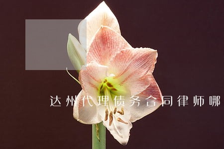 达州代理债务合同律师哪里找 达州代理债务合同律师哪里找