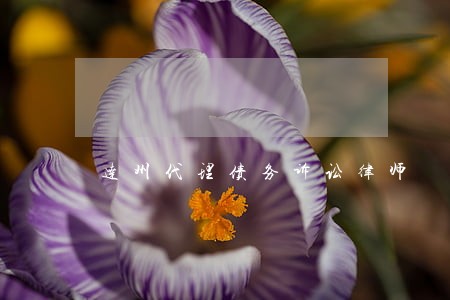 达州代理债务诉讼律师 达州代理债务诉讼律师