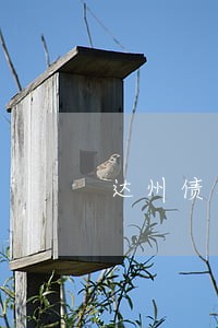 达州债务担保律师 达州债务担保律师