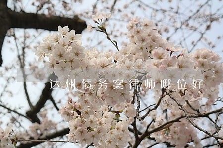 达州债务案律师哪位好 达州债务案律师哪位好