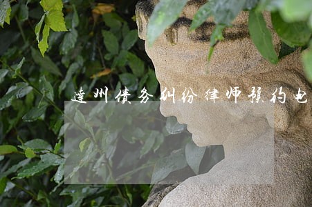 达州债务纠纷律师预约电话