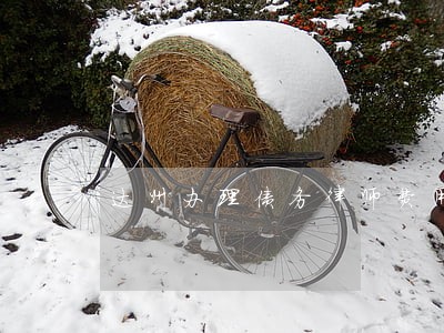达州办理债务律师费用咨询 达州办理债务律师费用咨询