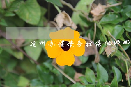 达州办理债务担保律师哪家强