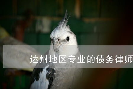 达州地区专业的债务律师多少钱 达州地区专业的债务律师多少钱