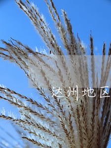 达州地区专业的债务律师微信咨询 达州地区专业的债务律师微信咨询