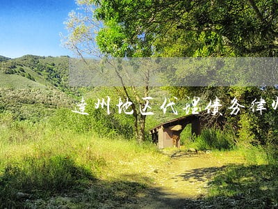 达州地区代理债务律师推荐 达州地区代理债务律师推荐