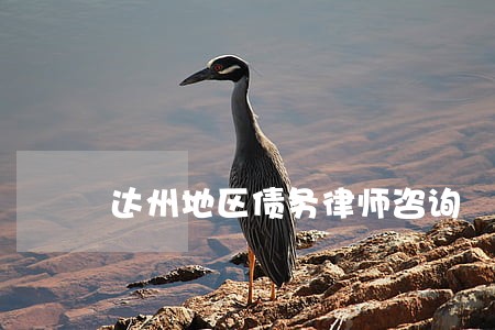 达州地区债务律师咨询 达州地区债务律师咨询