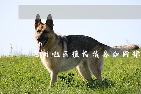 达州地区擅长债务合同律师咨询 达州地区擅长债务合同律师咨询
