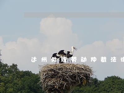 达州处理劳动仲裁法律问题律师 达州处理劳动仲裁法律问题律师