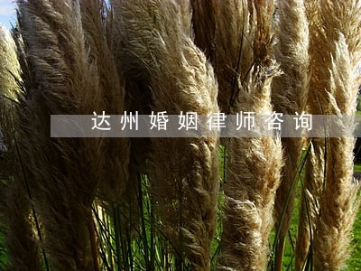 达州婚姻律师咨询 达州婚姻律师咨询