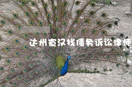 达州宣汉找债务诉讼律师如何委托 达州宣汉找债务诉讼律师如何委托
