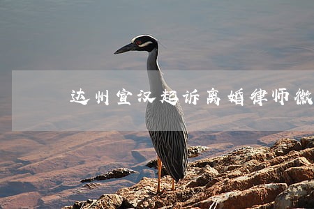 达州宣汉起诉离婚律师微信咨询 达州宣汉起诉离婚律师微信咨询